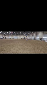 8.1K views · 603 reactions | My beautiful buddy King starting his futurity year with a lot of promise! King has not been hauled much- he was so brave, well behaved and gave me his best effort two days in a row  I'm so impressed with his trust in me- luckily he's had very mindful training and ownership that has set his brain and body up for success  | Becca's Barrel Horses | Facebook