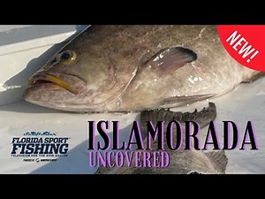 Jigging Scamp Grouper & Schoolies | Jigging Scamp Islamorada Fishing | Islamorada Fishing | fsftv