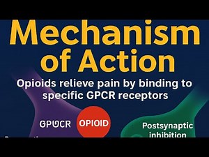 Opioid Pharmacology Agonists, Antagonists & Clinical Uses QUIZ-10