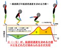 垂直跳のバイオメカニクス（垂直跳のコツ） - 陸上競技の理論と実践～Sprint & Conditioning～