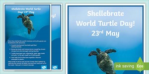 World Turtle Day