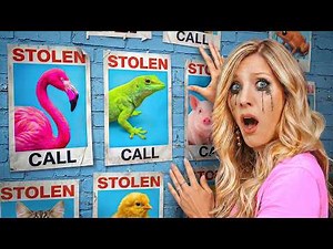 MY PETS WERE STOLEN