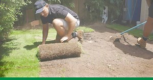 137K views · 593 reactions | Refresh your lawn with the best! The best turf varieties are exclusive to Lawn Solutions Australia turf suppliers. | Lawn Solutions Australia | Facebook