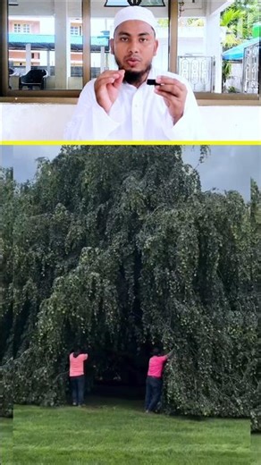 Allah Ki Qudrat Ka Nazara 😱