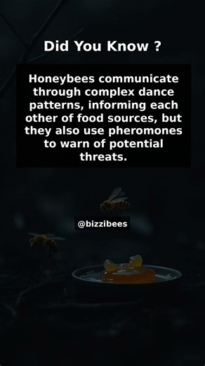 Did You Know Facts - Honey and Bees