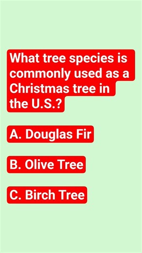 What tree species is commonly used as a Christmas tree in the U.S.?