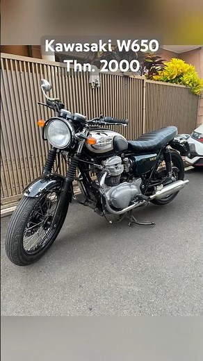 Kawasaki W650 2000, Modern Classic