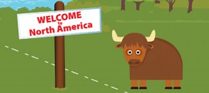 When did bison arrive in North America? - Science Journal for Kids and Teens