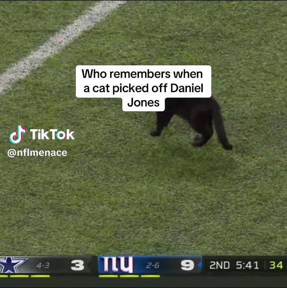 Cat Intercepts Daniel Jones in NFL Football Game
