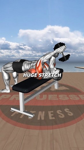 “How to Build a Bigger Back: Educational Breakdown for Width & Thickness” #ProuesseFitness #BackWorkout #Lats #UpperBack #MuscleBuilding #StrengthTraining #NoExcuses #gymmotivation | Junior B Divenson Jean