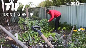 2.8K views · 31 reactions | 7 TIPS FOR GROWING YOUR OWN FOOD Do you have a planter box you've lost enthusiasm for? Perhaps you only have a small space to grow herbs and vegetables and want to maximise its productivity, but aren't sure what that actually looks like. We've put together a plan to make sure your planter box isn't sitting empty and you have something to harvest all year round. | ABC Perth | Facebook