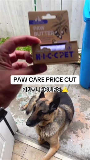 If your pup’s paws get rough, cracked, or irritated from the weather or sidewalks, this balm is an easy fix to keep on hand. Final hours of the markdown. Prices shown reflect current TikTok Shop discounts and may change. #TikTokShopBlackFriday #TikTokShopCyberMonday #pawprotection #dogwellness #petcaretips