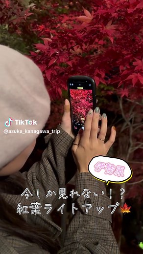 1年のうち10日間しか見れない絶景🍁#神奈川おすすめスポット #大山 #伊勢原