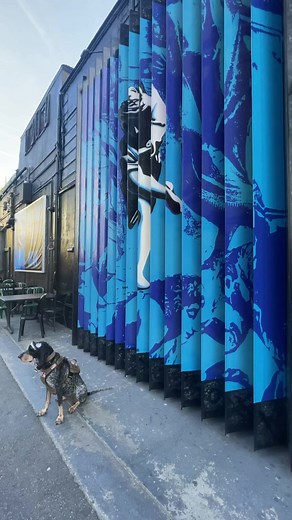 Guns N' Roses billboard in #hollywood at the RAINBOW BAR AND GRILL! Slash #axlrose #gunsnroses #sunsetstrip #rockmusic Duff McKagan | Dixie The Praying Dog
