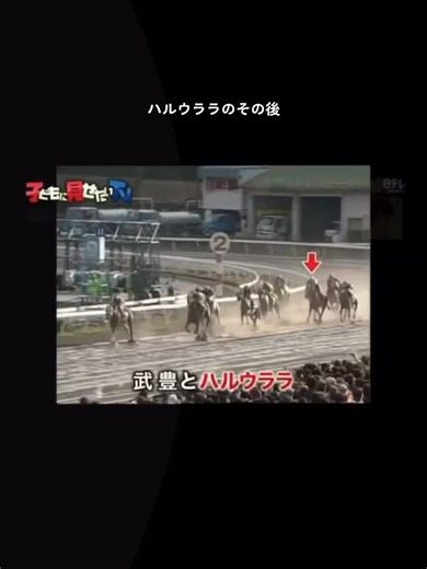 ハルウララの伝説と現在の姿