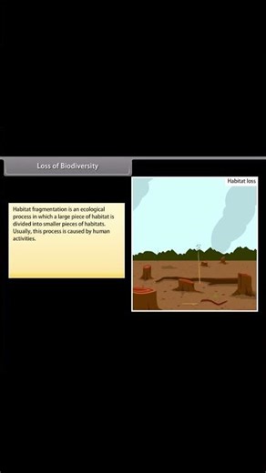 biodiversity and conservation part 21 #biodiversity #biodiversityandconservation #biology #cbsebio