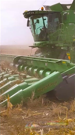 SuperCrop® Header | Making Sorghum Harvest Easier, Faster & Cleaner 🌾