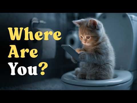 When You Leave Your Cat Home Alone, This Is What They're Actually Doing