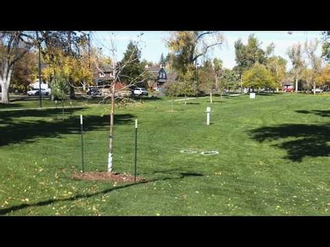 Rooted in Cheyenne unveils strategic plan to grow city tree canopy