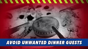 1.8K views · 33 reactions | Hope you are all practicing some sign language this week! In today's video Quin reminds us to keep the stove top clean to prevent the build up of spilled fats and burnt foods which can cause fires. Quin is a Senior Station Officer in Takapuna and started learning sign language in 2005 after visiting the Auckland Deaf Society. | Fire and Emergency NZ | Facebook