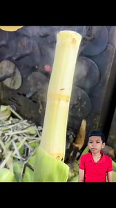 1.4M views · 26K reactions | #តោះញាំអំពៅដុត #FacebookContestreels #reels2024 #BOOM #reels #video #viral #reelsusa #viral #mukbangers #mmoដៃថ្មី #reel2025 #monitizereels | Hight show pages | Facebook