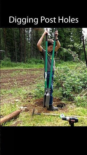 Making a Raspberry Support Structure #berryfarm #shorts