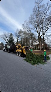 👉 Tree Service project in 📍 Marietta, GA . 📞Call us for a free estimate ☎️(678) 457-3487 ☎️(678) 677-9102 . . . #trees #treeremoval #treework #arborist #tree #stihl #stumpgrinding #treecare #landscaping #treetrimming | Jireh Tree Services & Landscaping