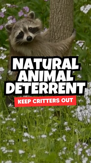 17K views · 64 reactions | CRITTERS ENJOYING YOUR LANDSCAPING? ⤵️✌|...