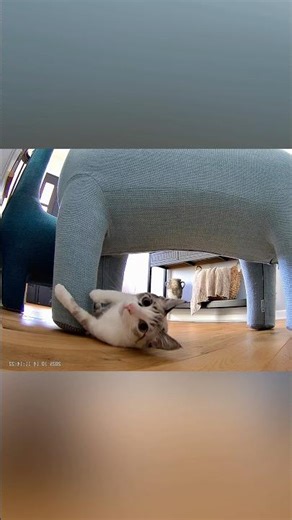 Gary’s secret hobby exposed…