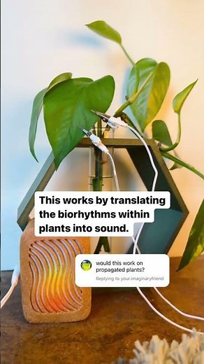 Can propagated plants sing? Great question! Allow us to explain… 🌿✂️ PlantWave uses the two sensors