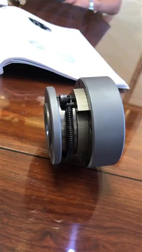 GCS Overrunning Clutch Roller Type Two-way Clutch