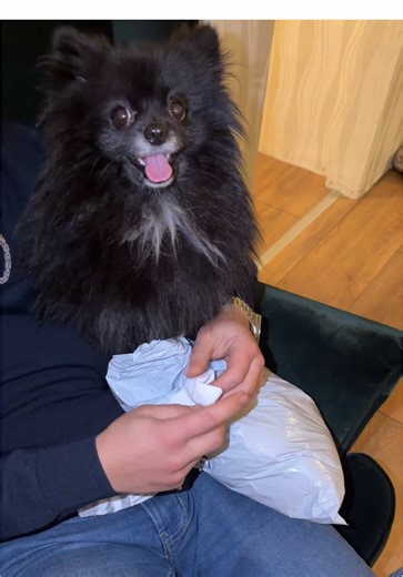 Bremer_3D_Design (@bremer_3d_design)’s videos with Originalton - Bremer_3D_Design