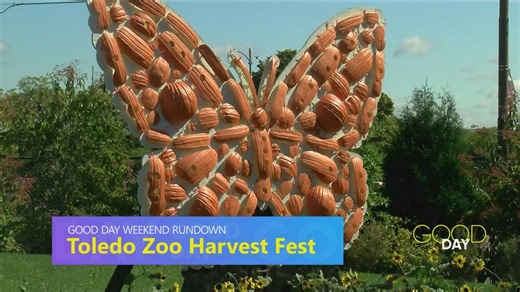 Need weekend plans? Fall events, activities are plentiful | Good Day Weekend Rundown