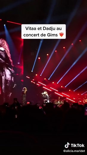 @GIMS @V I T A A @DADJU 🔥🔥🔥 #gims #vitaa #dadju #concert #lyon