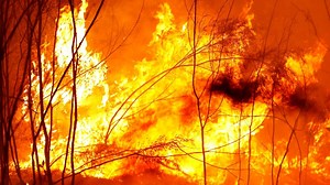 Bushfire season ‘used by activists, journalists and politicians’ to push ideology