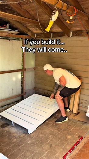 It’s just so fun building stuff for the cats at @RAPS Cat Sanctuary | cats