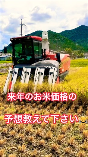 再生二期作用の田んぼを刈り取り‼️ #kubota #harvester #harvesters #コンバイン #combine #農業 #農家 #割倒#割稲 #現代農業 #farming
