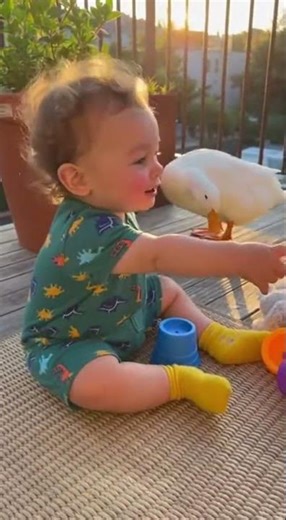 Baby's First Duck Encounter on the Balcony 🦆| Baby Bee #baby #Cutebaby