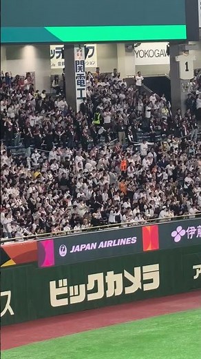 經典賽日本隊，鈴木誠也，細姨啊