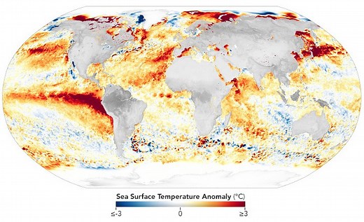 The Ocean Has a Fever - NASA Science