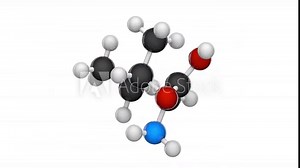 Isoleucine (symbol Ile or I) is an amino acid that is used in the biosynthesis of proteins. Formula: C6H13NO2. 3D render. Seamless loop. Chemical structure model: Ball and Stick. White background.