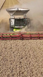 Don't miss the last customer combine review of the year! ✨ Head to the link in the comments to check out the full story 👀 #CLAASmorethanamachine #customertestimonial #LEXION8900 | CLAAS