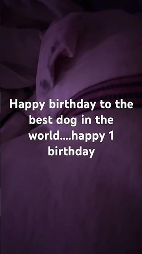 Happy birthday summer