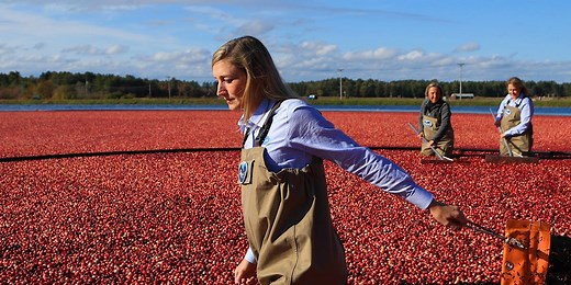 Looking for a new job? These are 31 of the coolest careers out there.