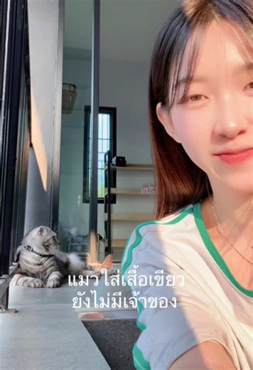 ตัวลายแจกฟรี