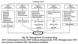 Of scorpion stings and antivenoms