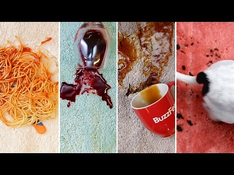 3-Ingredient Carpet Stain Remover