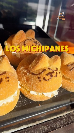 Directo al Paladar Latam on Instagram: "Ya están aquí los mismísimos Michipanes de Gato Pandilla. . Dirección: Eje Central Lázaro Cárdenas 580, Álamos, CDMX Horarios: Lun-vie: 7-21h; sáb-dom: 9-20h Ticket promedio: Desde 30MXN"