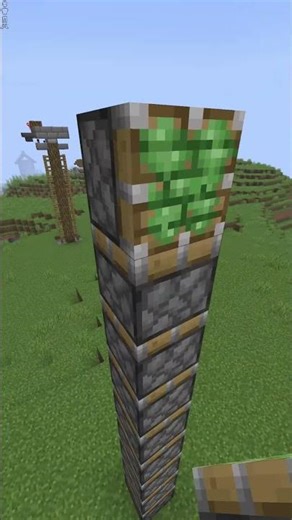 Piston Extender | Minecraft #minecraft