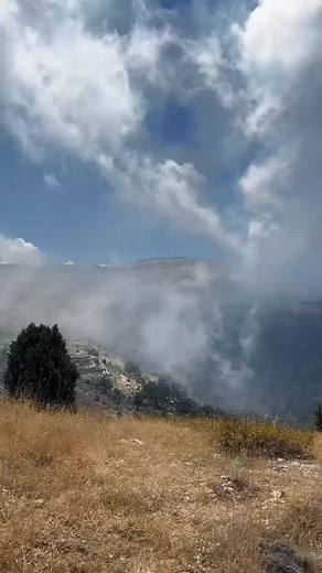 Horsh Ehden Nature Reserve on Instagram‎: "🌿✨ A journey through Lebanon’s hidden paradise! Captured by @ucefrouhban , this reel unveils the breathtaking landscapes, ancient forests, and majestic mountain views of Horsh Ehden Nature Reserve — where nature paints with every color and silence speaks in beauty. 🍃🌲🏞️ Let your eyes explore what words can’t describe. #HorshEhden #ScenicLebanon #NatureReserve #UcefRehban #EcoLebanon #HiddenGem #ExploreEhden #LebaneseBeauty #من_غابات_لبنان"‎